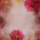 Fine Art Blurred Floral Background Backdrop SBH0597