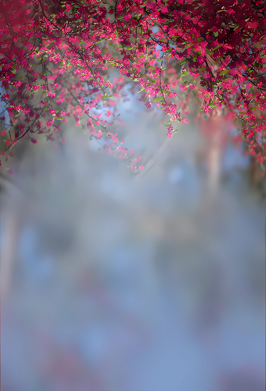 Exotic Blur Garden Floral Background Backdrop SBH0599
