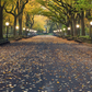 Autumn Central Park Literary Walk Photography Backdrop SBH0621