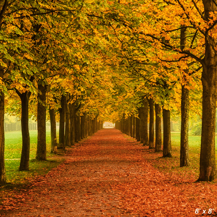 Autumn Leaves Falling Themes Backdrop for Photo SBH0622