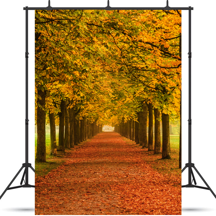 Autumn Leaves Falling Themes Backdrop for Photo SBH0622