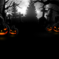 Scary Halloween Night Background Backdrop for Photo SBH0628