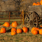 Wagon With Pumpkins Harvest Fall Backdrop for Photo SBH0632