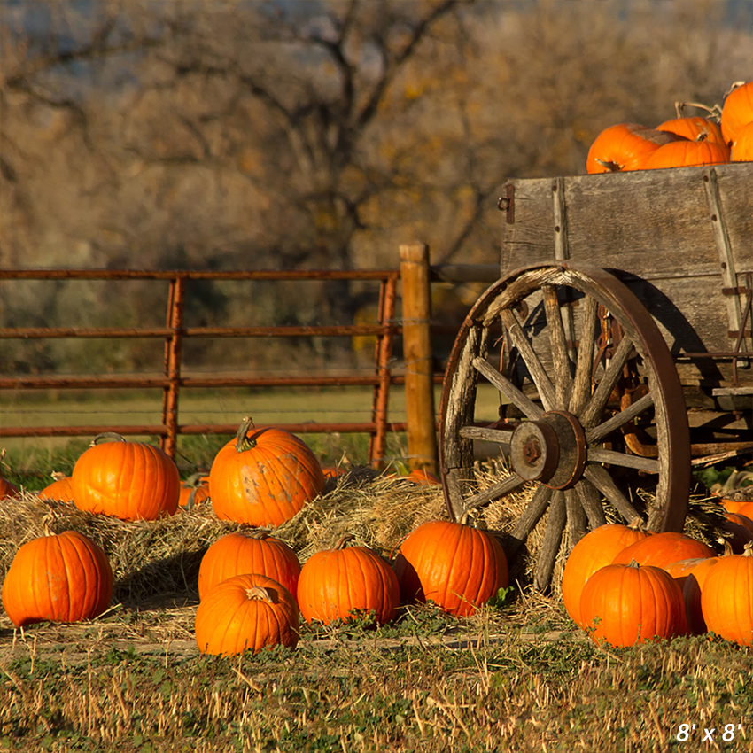 Wagon With Pumpkins Harvest Fall Backdrop for Photo SBH0632
