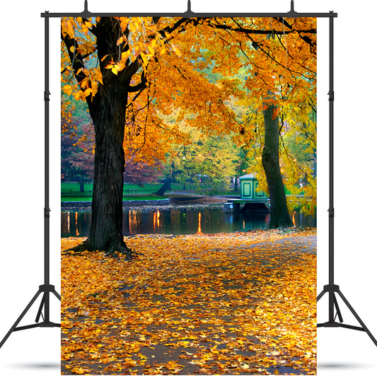 Autumn Leaves Background Backdrop for Photography SBH0634