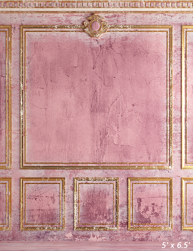 Pink Classic Wall Old Gold Stucco Backdrop for Photo SBH0637