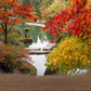Japanese Fall Park Landscape Backdrop for Photography SBH0641