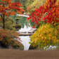 Japanese Fall Park Landscape Backdrop for Photography SBH0641
