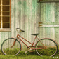 Bicycle Leaning Against Grungy Barn Backdrop for Photo SBH0644