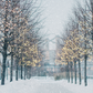Blurred Winter Tree Falling Snow Backdrop for Photo SBH0645