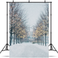 Blurred Winter Tree Falling Snow Backdrop for Photo SBH0645