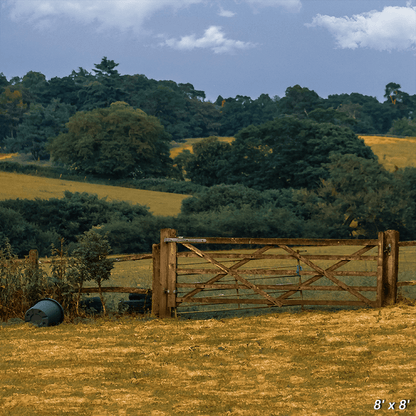 Brown Grass Field Under Beautiful Sky Background For Photo SBH0691