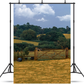 Brown Grass Field Under Beautiful Sky Background For Photo SBH0691