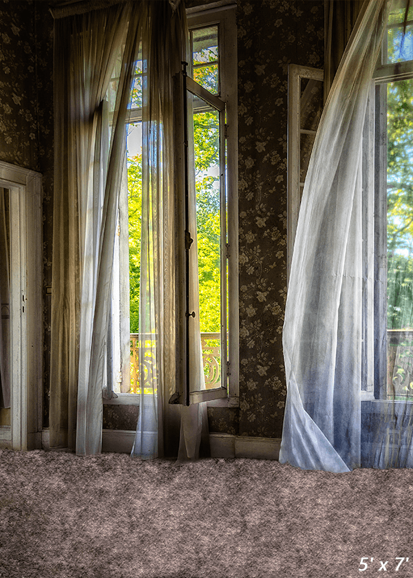 Wood House Abandoned Old Window Lostplaces Backdrop for Photo SBH0696