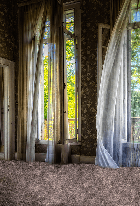 Wood House Abandoned Old Window Lostplaces Backdrop for Photo SBH0696