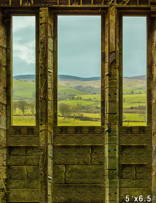 Dalquharran Castle Photography Backdrops Photo Props Spring Background SBH0729