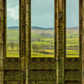 Dalquharran Castle Photography Backdrops Photo Props Spring Background SBH0729