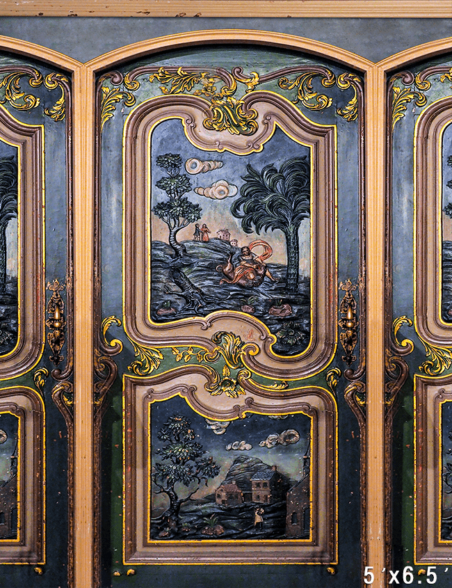 Baroque Narrative Panel with Golden Accents Photography Backdrop SBH0750