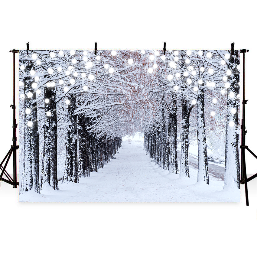Winter Snow Forest Backdrop Background Studio Props SBH0304