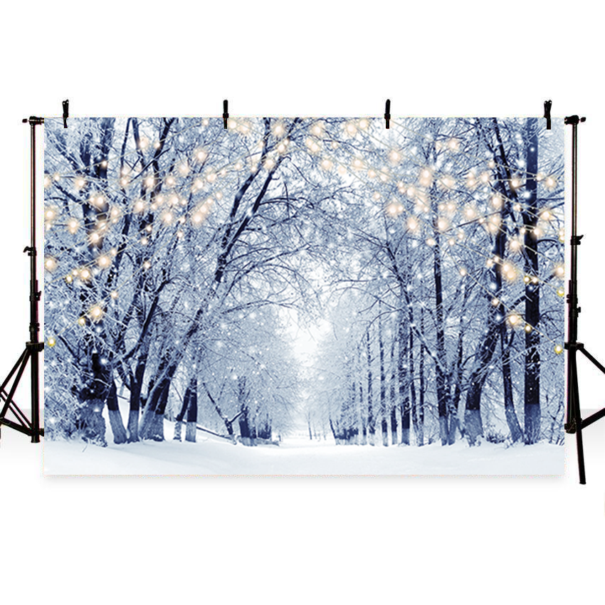 Winter Scenery Frosty Trees Backdrop for Photography SBH0244