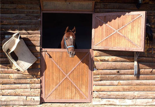 Race Stable Wood Horse Backdrops