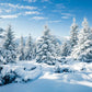 White Winter Snow Forest Wonderland Backdrop for Photography