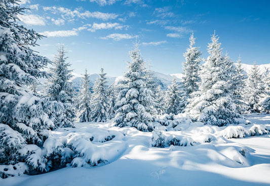 White Winter Snow Forest Wonderland Backdrop for Photography
