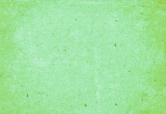Solid Portrait Background Bright green Photography Backdrop
