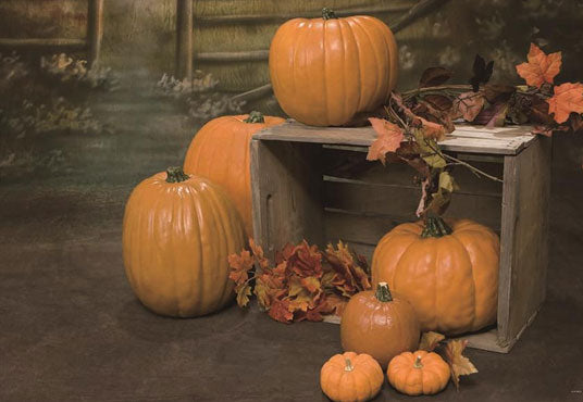 Autumn Bran Pumpkin Leaves Photo Backdrop for Studio
