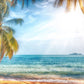 Blue Sea Summer Sunshine Coconut Tree Backdrop Vacation Scenery Photography Backgrounds