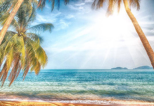 Blue Sea Summer Sunshine Coconut Tree Backdrop Vacation Scenery Photography Backgrounds