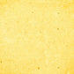 Solid Portrait Background Bright Yellow Photography Backdrop