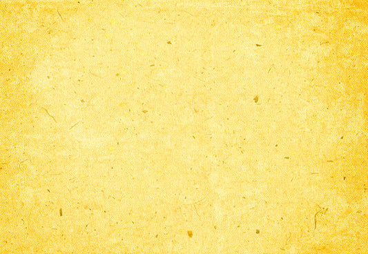Solid Portrait Background Bright Yellow Photography Backdrop