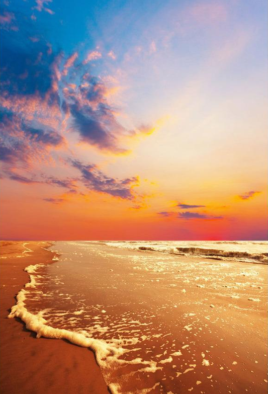 Twilight Beautiful Seaside Backdrop Sea Summer Gloam Photography