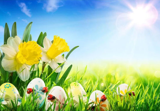 Easter Eggs and Yellow Flowers Background Green Grass Under Sunshine Photography Backdrop
