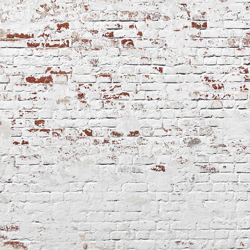 Brick Red White Stonewall Urban Weathered Texture for Portrait Photography SBH0145
