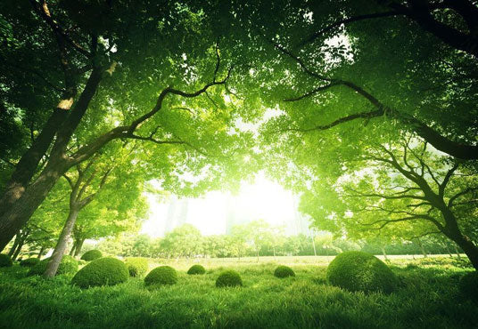 Green Big Tree Backdrop Spring Green Leaves Grass Scenery for Photography