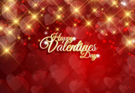 Valentine's Day Red Shinny Heart Backdrop for Studio