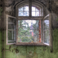 Abandoned Old Room With Windows Backdrop for Photography SBH0233