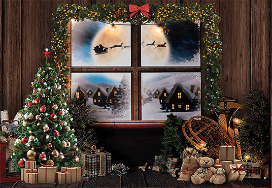 Window In Wooden Room Christmas Backdrop for Photography SBH0252