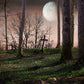 Halloween Bright Moon Backdrop for Photography Prop