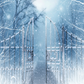 Winter Snow Scenery With Gate Backdrop for Photography SBH0285
