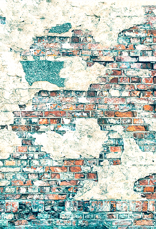 Grunge Wall Background Bricks Texture Photography Backdrop SBH0161