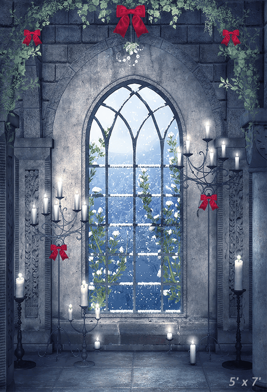 Christmas Scene Frozen Window Backdrop for Photography SBH0286