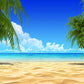 Blue Sea Sandy Beach Coconut Trees For Summer Holiday Backdrops