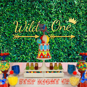 Fresh Green Wild One  Photography Backdrop for 1st Birthday