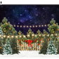 Christmas Lights and Snow Backdrop in Photo Studio SBH0280