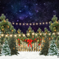 Christmas Lights and Snow Backdrop in Photo Studio SBH0280