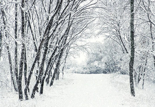 White Snow Cover Tree Road Photography Backdrop Winter Background