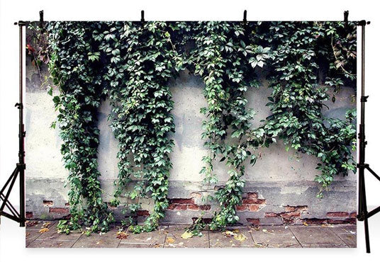 Spring Green Leaves on White Broken Brick Wall Backdrop for Photo Photography